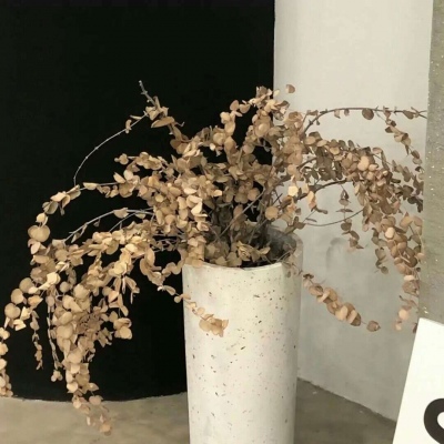 南安FurryQQ群介绍